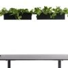 APTO Schreibtisch Halterung Für Blumenkästen 160x80x2cm Mit Tischklemmen, Schwarz -vidaXL Geschäft 0f3976b6 31b9 47a0 8535 5d90ec5135f9 1