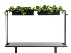 APTO Book Shelf Schreibtisch Zeitschriftenhalter/Laptophalter Mit Tischklemme, Schwarz 12 APTO Book Shelf Schreibtisch Zeitschriftenhalter/Laptophalter Mit Tischklemme, Schwarz -vidaXL Geschäft 0f3976b6 31b9 47a0 8535 5d90ec5135f9