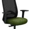 Mayer Sitzmöbel, Drehstuhl 2228, Farngrün, 2228_AV3D_KS_SYM++_30613 -vidaXL Geschäft 151dbaea 0bc3 43ce 81b2 a1bae0aae885