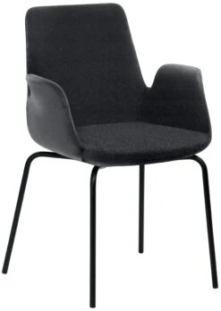 Mayer Sitzmöbel, Sessel 2009, Anthrazit, 2009_F4_30487 -vidaXL Geschäft 16673a42 da16 4d2c b739 e5b958ab3057