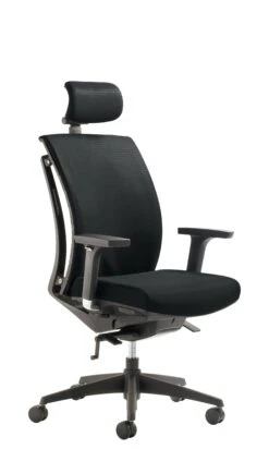 Mayer Sitzmöbel, Drehstuhl Mit Kopfstütze 2454, Schwarz, 2454_556