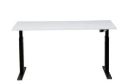 PROREGAL Elektrisch Höhenverstellbarer Schreibtisch Zebra | HxBxT 70-116x160x80 Cm | Weiß-Weiß -vidaXL Geschäft 1f09ce13 7af6 44c9 8a68 5818649b527a