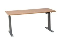 PROREGAL Elektrisch Höhenverstellbarer Schreibtisch Zebra | HxBxT 70-116x140x80 Cm | Silber-Buche -vidaXL Geschäft afb08a0d 6396 434a 868e e368fdfe607f