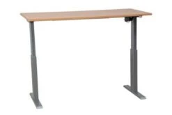 PROREGAL Elektrisch Höhenverstellbarer Schreibtisch Zebra | HxBxT 70-116x140x80 Cm | Silber-Buche -vidaXL Geschäft c3492b30 f6d1 43d3 802e f5a70d2df6ca