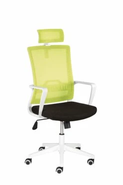 Mayer Sitzmöbel, Drehstuhl 2470, Grün, 2470_AV_26393 -vidaXL Geschäft e46d2fe1 eeb4 4c5b a505 ab41e6444c72 1